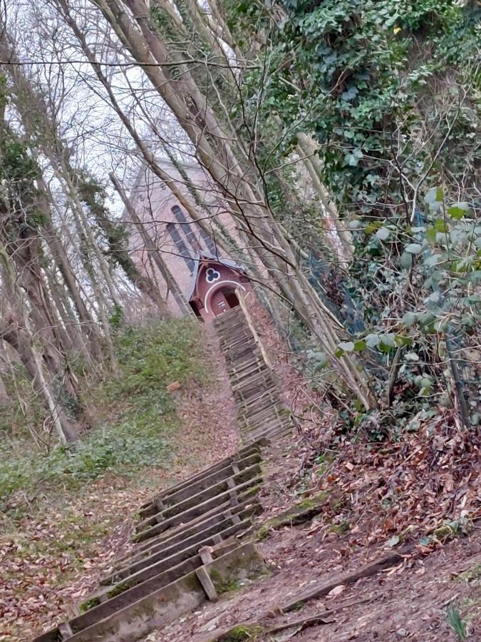 Le Cise Eau A Bois Le Bois de Cise