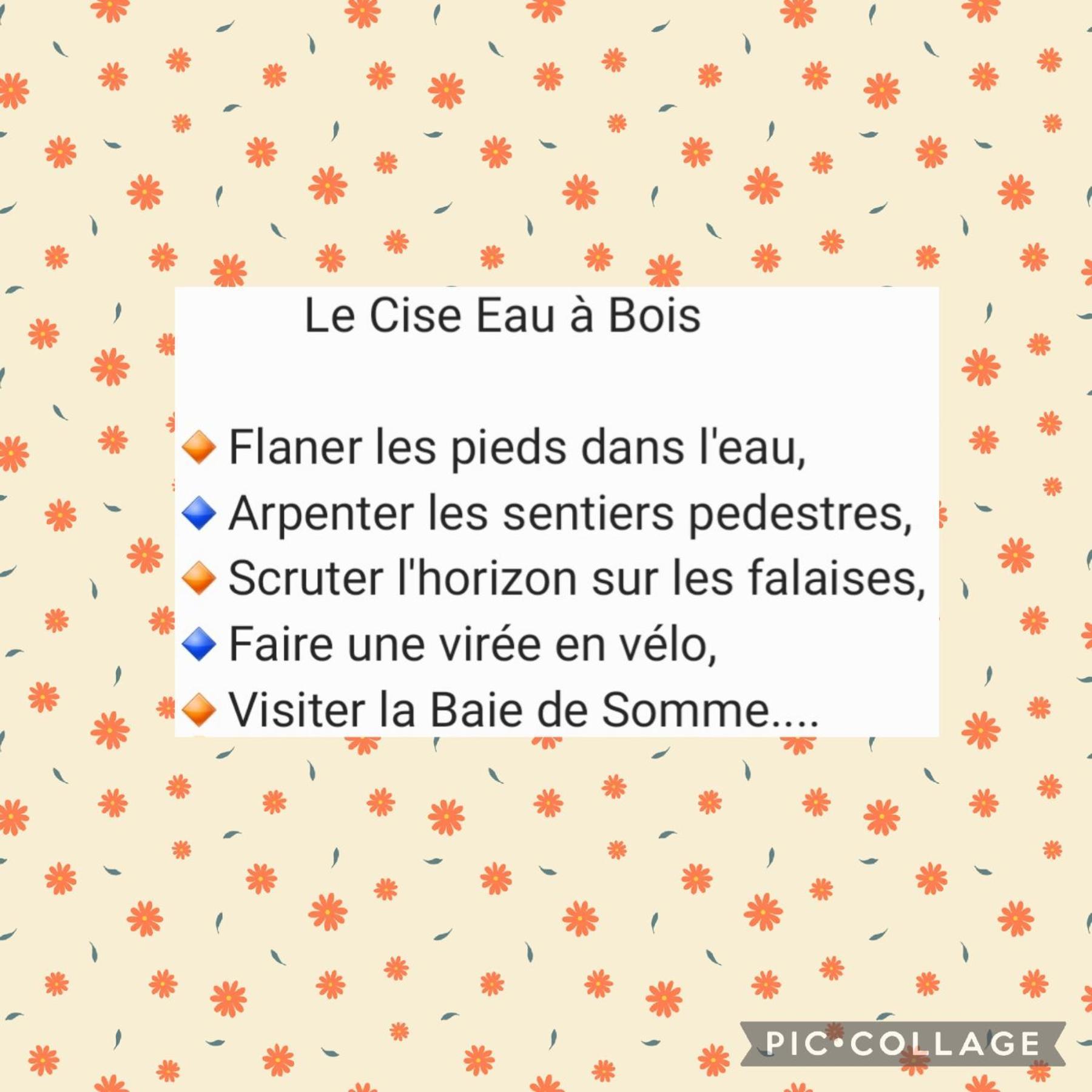 Le Cise Eau A Bois *